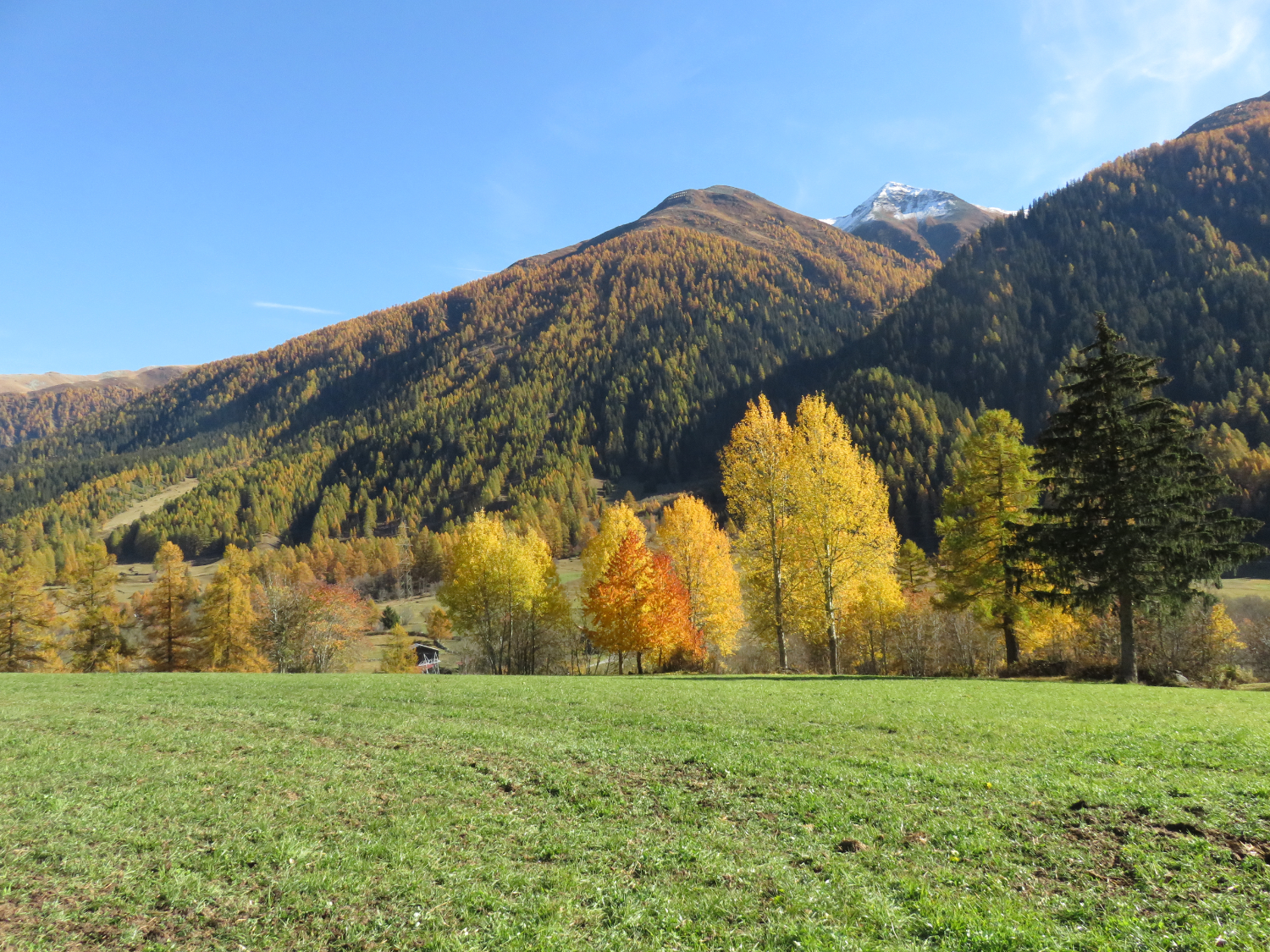 Herbstlandschaft